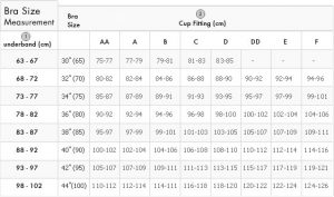 Pechos de copa C - Ejemplo de pechos de copa C perfecta, sujetadores y