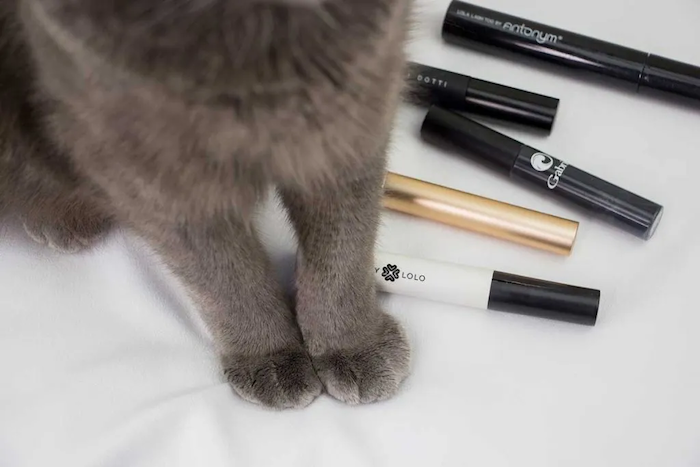 The Best Cruelty-Free Mascaras testing copy