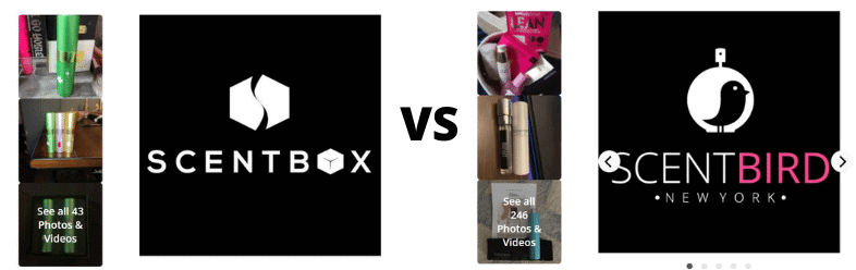 Scentbird Vs Scentbox - Which Perfume Subscription Wins?