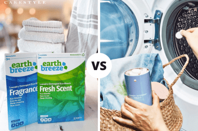 Earth Breeze vs Blueland: Which Eco-Laundry Brand Is Best?