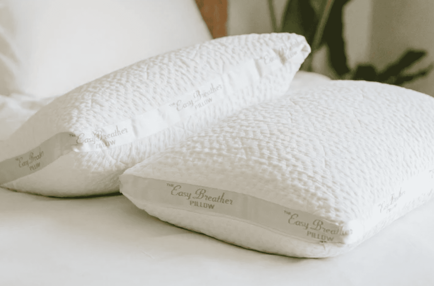 SpineAlign Review: Mattress Really Improves Posture?
