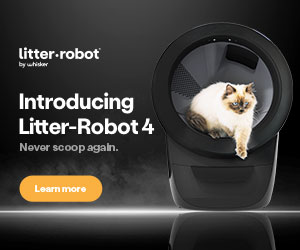 litter robot review clean cat litter box