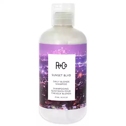 R+Co Sunset Blvd Daily Blonde Shampoo, 8.5 Fl Oz